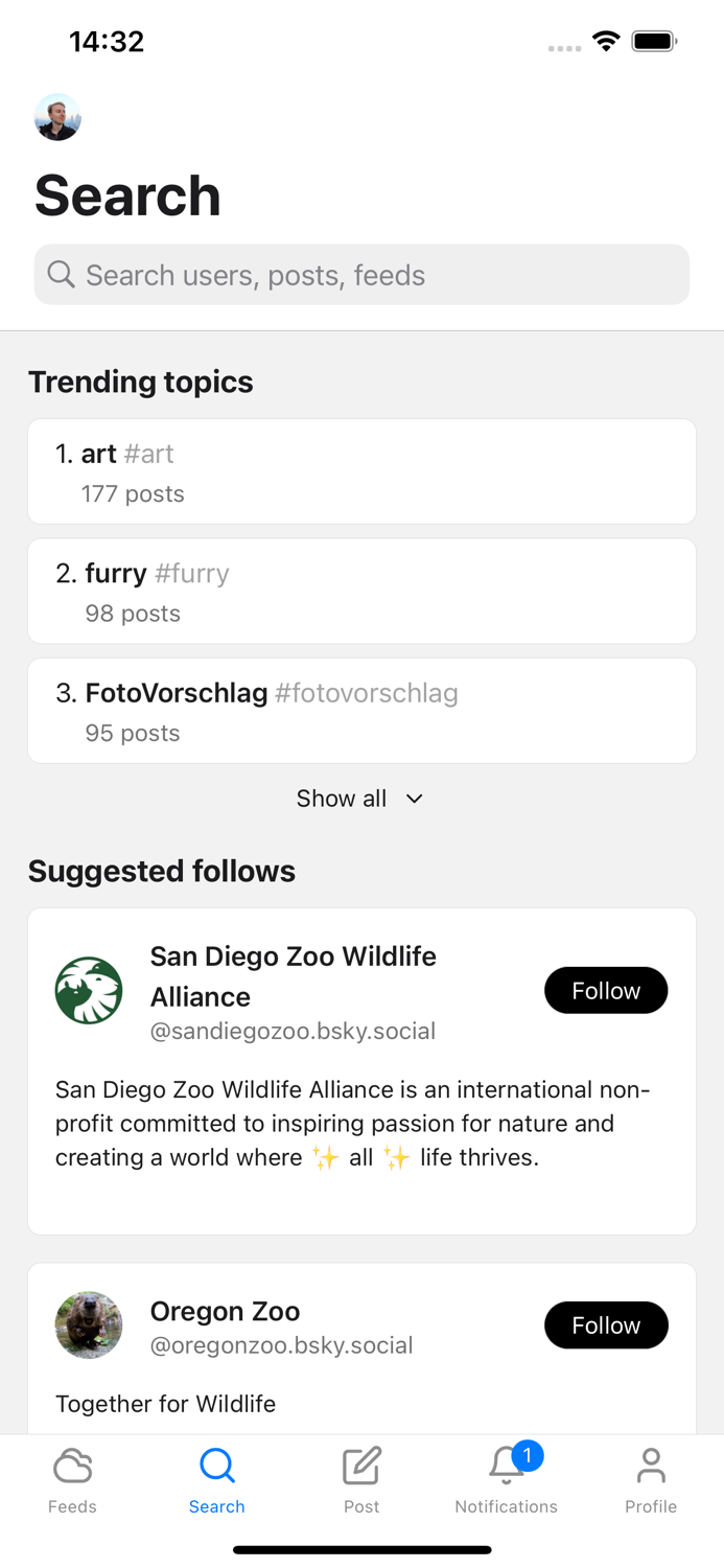 Graysky, a Bluesky client