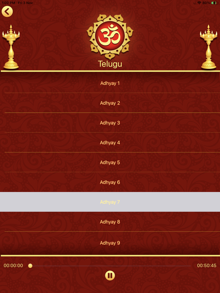 Bhagavad Gita in 11 Languages