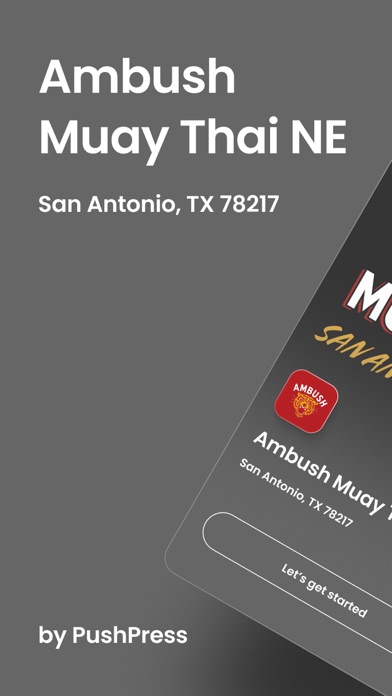 Ambush Muay Thai SATX Screenshot