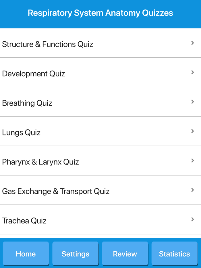 Respiratory System Anatomy