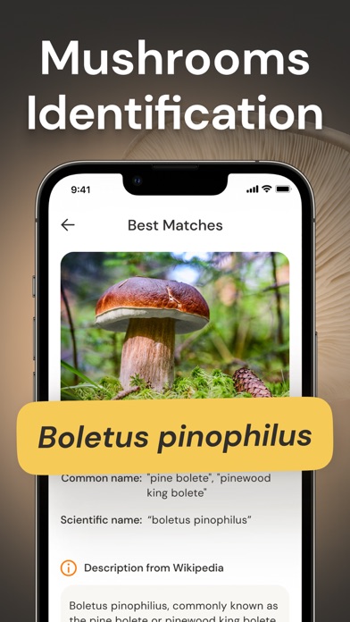 Mushroom Identification ID Screenshot
