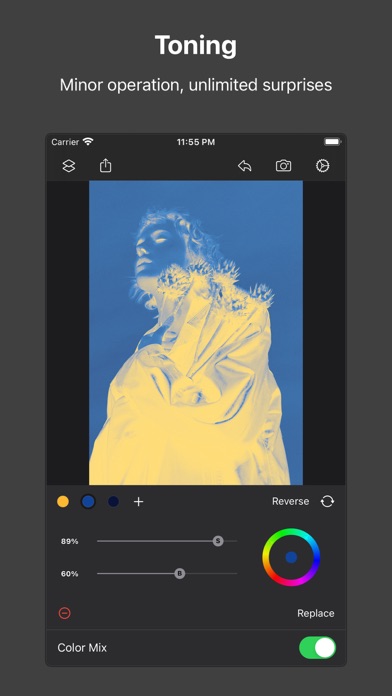 Picsso - colorize the photo Screenshot