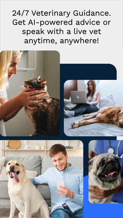 Umbrella: Vet Care On Demand