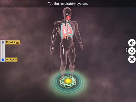 Screenshot #4 pour Respiratory System Physiology