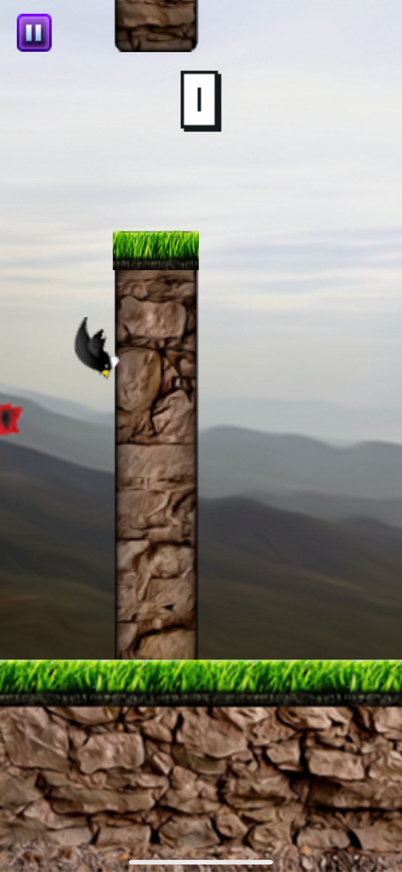 Flying Shqipe