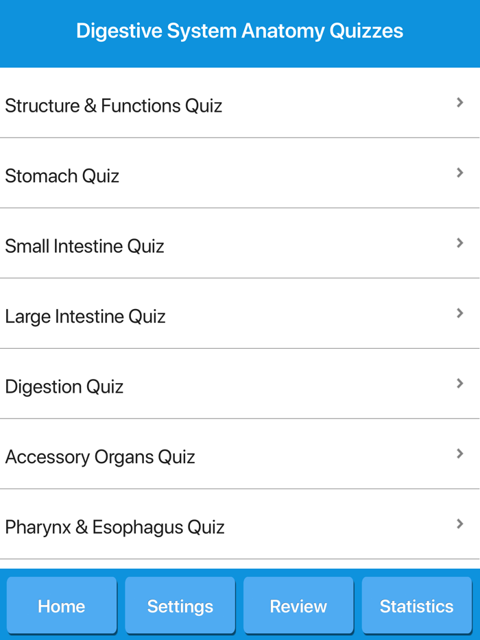 Digestive System Physiology