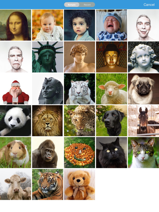 Face Story Pro - morph face Screenshot