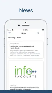 pa vet court professionals iphone screenshot 1