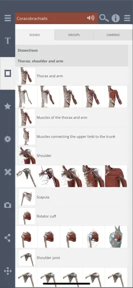 Game screenshot Primal's 3D Shoulder apk