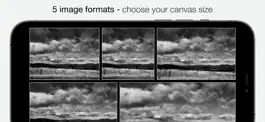 Game screenshot Camera1 - Black & White Camera apk
