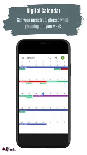 The Agenda. screenshot 3