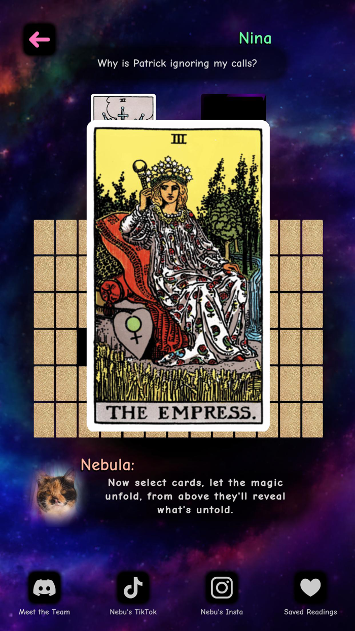 Nebula Tarot Cat