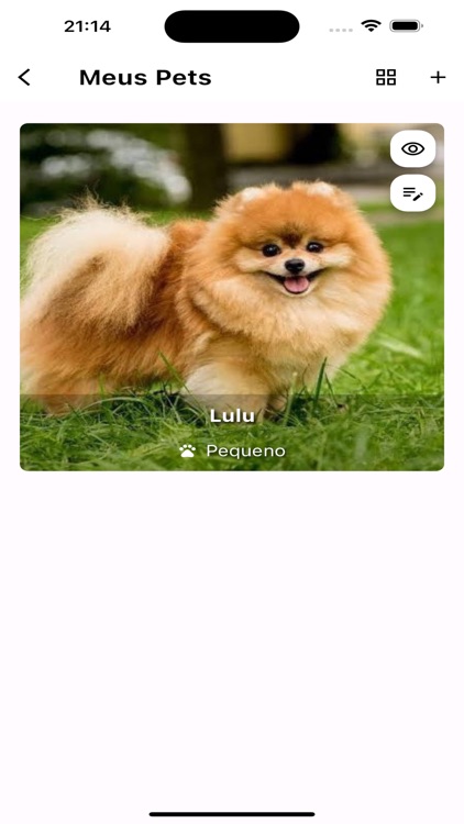 Petzone - Rede social para Pet
