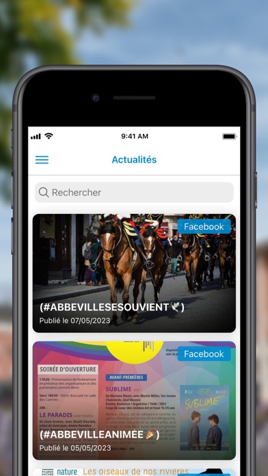 Ville d'Abbeville Screenshot