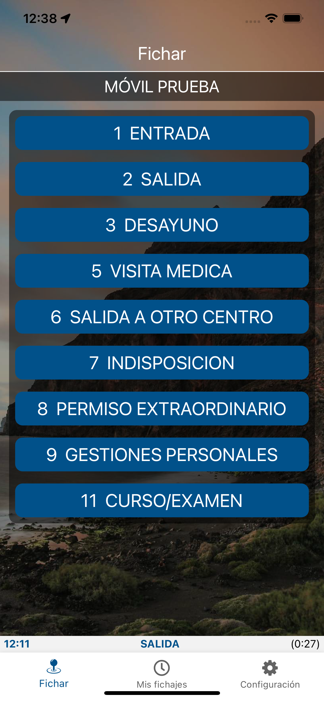 Geogestión Horaria