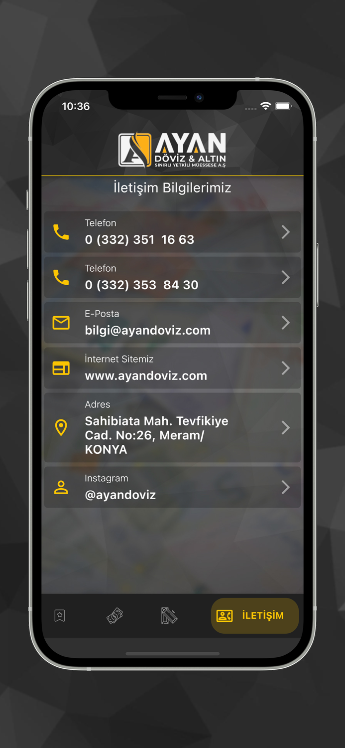 Ayan Döviz and Altın