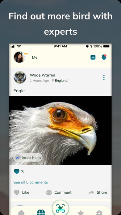 Bird Detect Screenshot