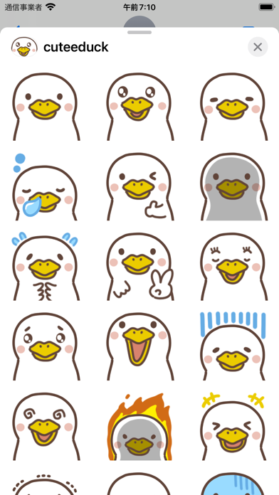 cutee duck sticker Screenshot