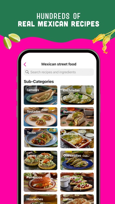 Real Mexican Recipes Screenshot