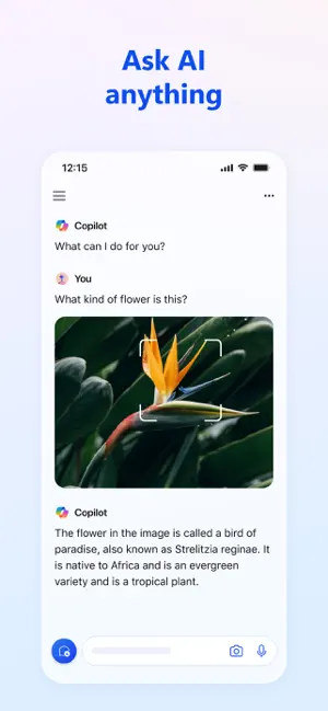Microsoft Copilot APP的使用截图[2]