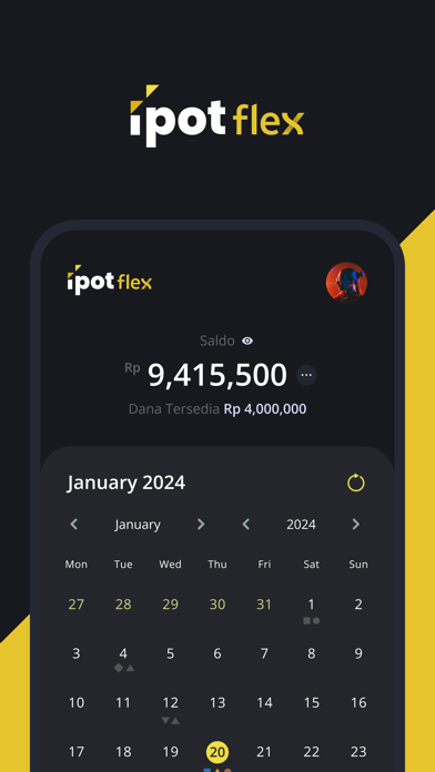 IPOTFLEX Screenshot