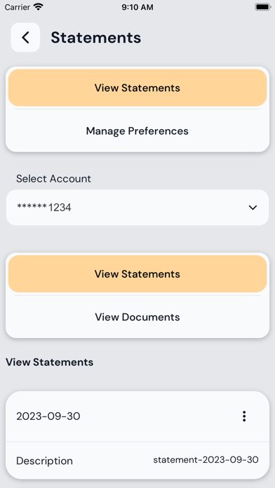 Pioneer Valley Credit Union Screenshot