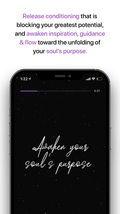 Soul Essence - Higher Purpose Screenshot