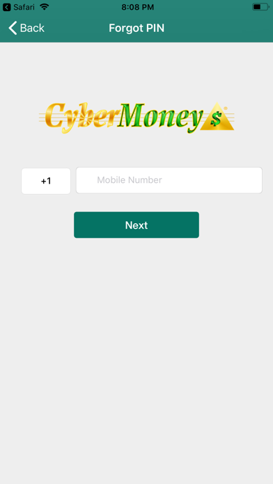 CyberMoney Screenshot