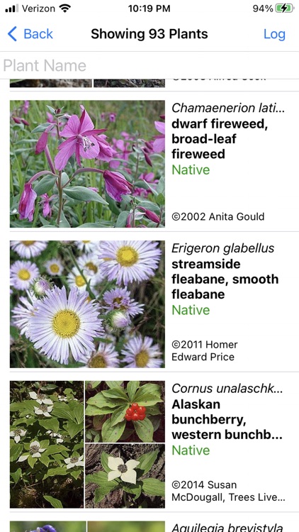 Alaska Wildflowers North