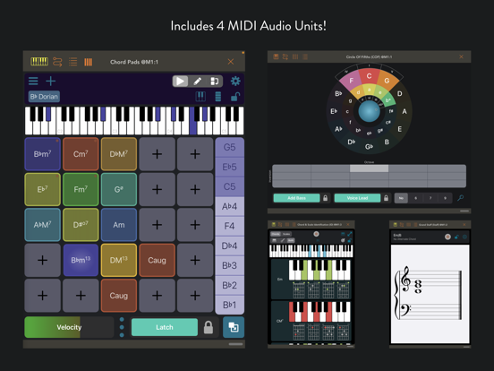 Tonality: Music Theory iPad app afbeelding 2