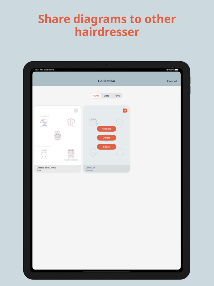 HairTech-Head Sheets