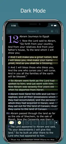 Game screenshot NASB Bible Holy Audio Version hack