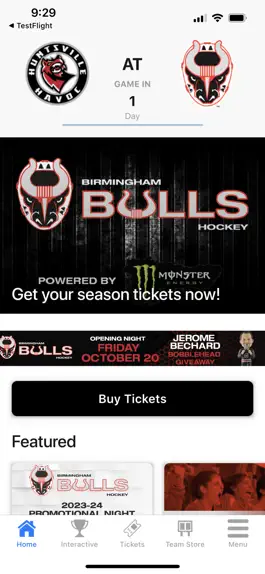 Game screenshot Birmingham Bulls apk
