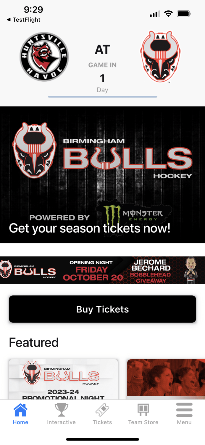 Birmingham Bulls