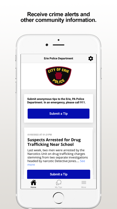 Erie PD Screenshot