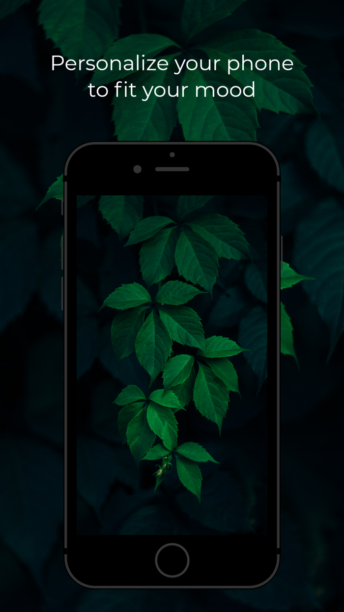 WallHub 4K Wallpapers