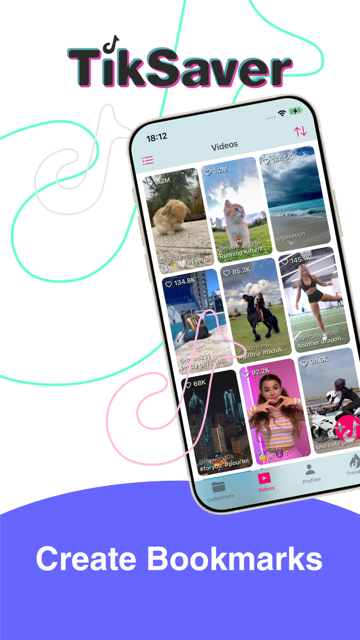 TikSaver - Saver and Organizer