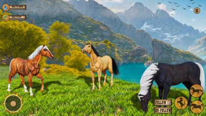 Wild Horse Animal Simulator Screenshot
