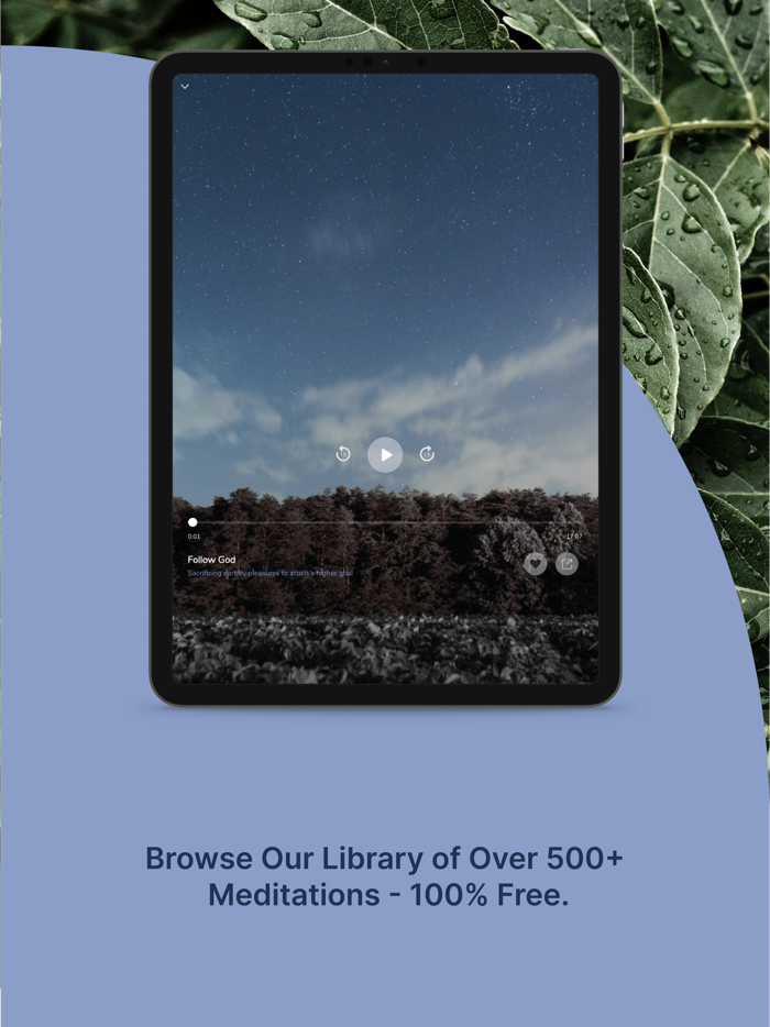 Encountering Peace Meditation