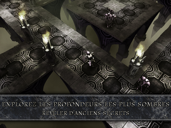 Screenshot #4 pour AnimA ARPG (Action RPG)