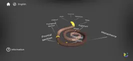Game screenshot Morflab : Cell & Earthworm mod apk
