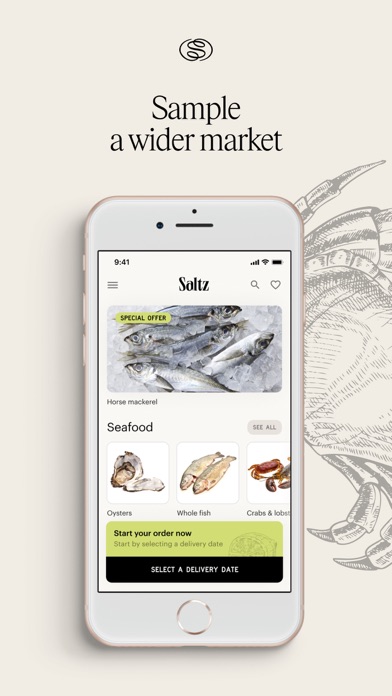Saltz Screenshot