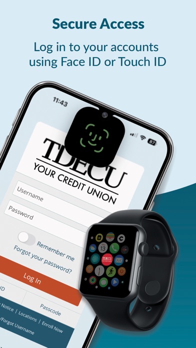 TDECU Digital Banking Screenshot