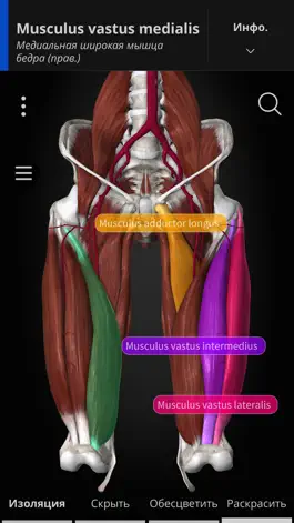 Game screenshot Anatomyka hack