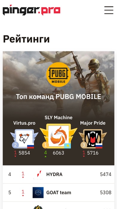 Pinger.Pro Screenshot