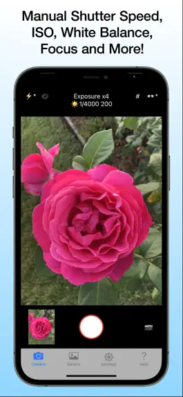 Game screenshot PolyPhoto mod apk