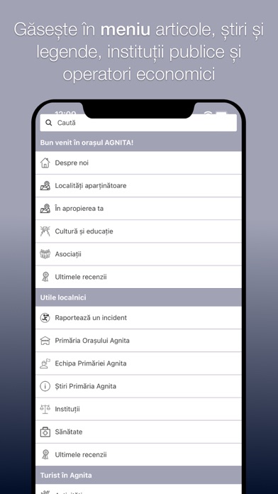 Agnita City Screenshot