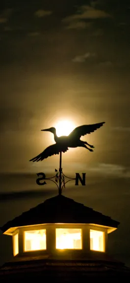 Game screenshot Farm Neck Golf Club mod apk