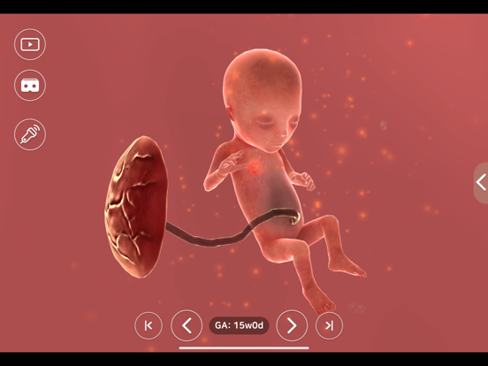 Screenshot #6 pour Aluvuu Fetus