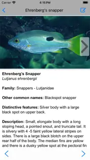 coastal fishes iphone screenshot 4